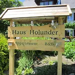 Holunder Weissbriach