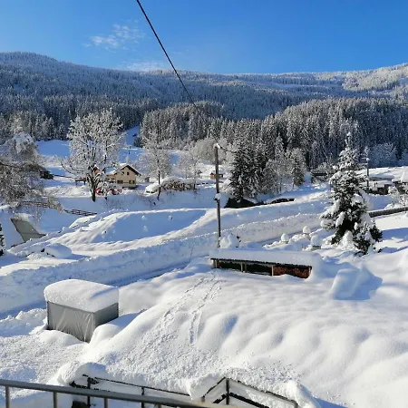 Holunder Daire Weissbriach