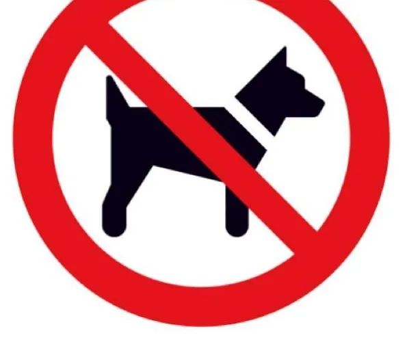 Holunder Weissbriach