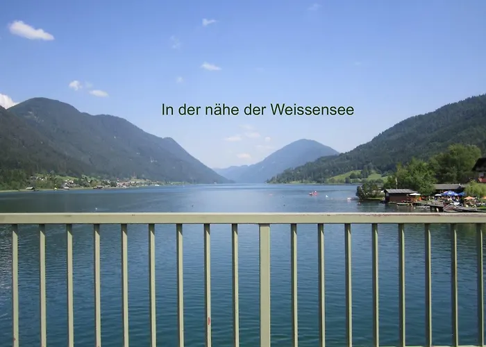 Holunder Daire Weissbriach