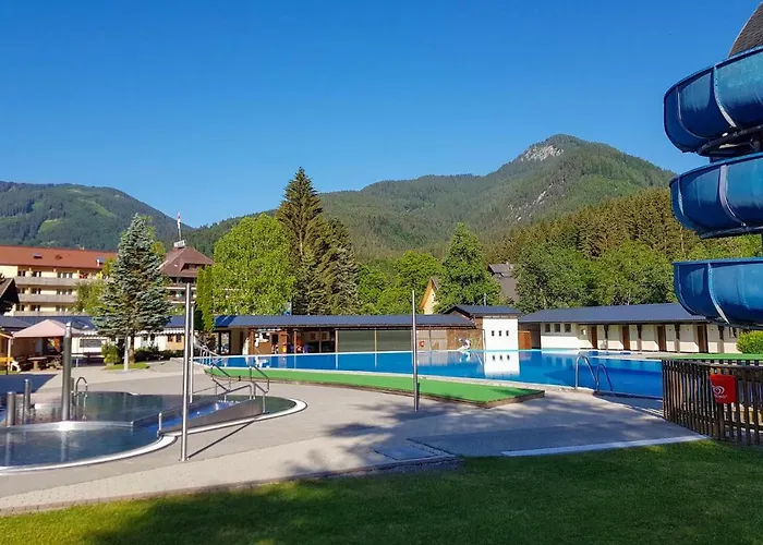 Holunder Daire Weissbriach